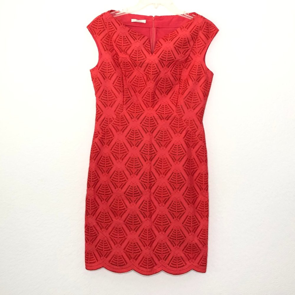 JIGOTT Korean Fashion Sheath Dress Eyelet DM